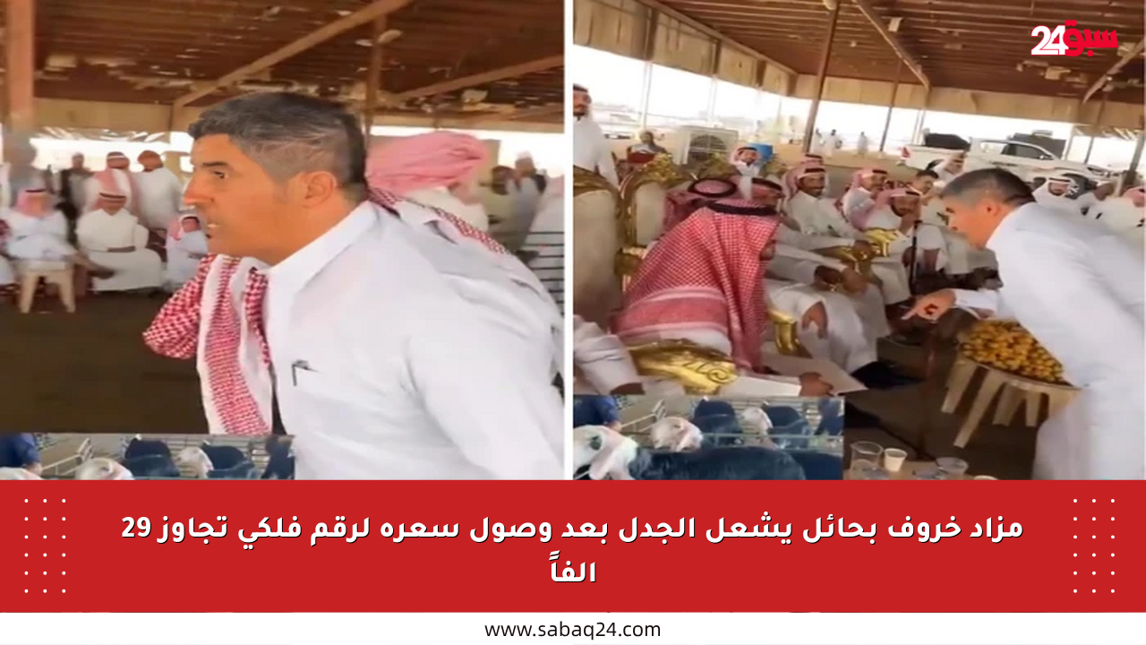 مزاد خروف بحائل يشعل الجدل بعد وصول سعره لرقم فلكي تجاوز 29 ألفاً